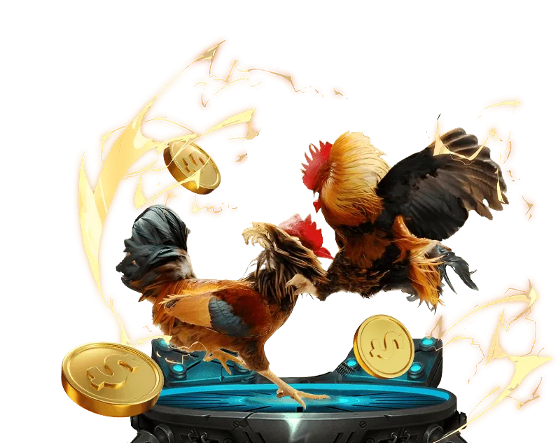 Hình ảnh các đặc quyền độc quyền dành cho VIP